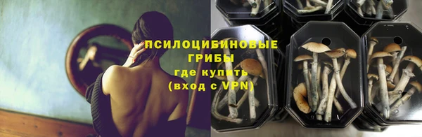 ГАЛЛЮЦИНОГЕННЫЕ ГРИБЫ Майский
