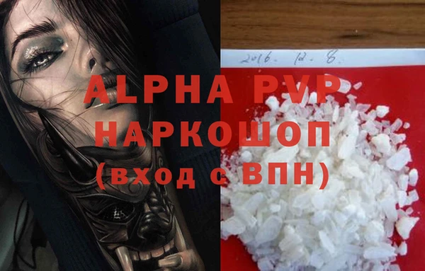 СК Магадан