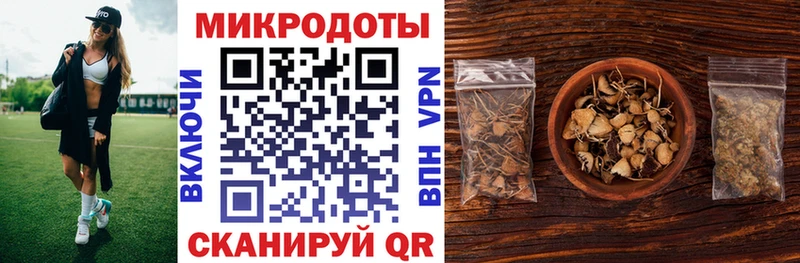 Галлюциногенные грибы GOLDEN TEACHER  нарко площадка наркотические препараты  Циолковский 