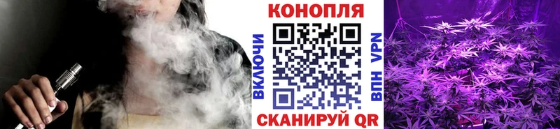 Бошки Шишки гибрид  OMG как зайти  Циолковский  купить наркоту 