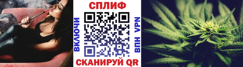 Конопля планчик Циолковский